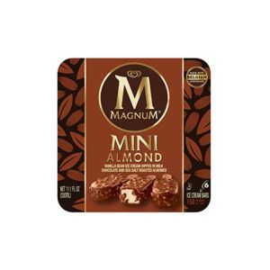 Magnum Mini Ice Cream Bar